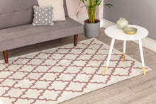 Load image into Gallery viewer, Patterned Pink Rug
