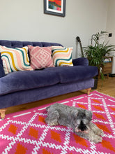 Load image into Gallery viewer, bright pink rug with cushions and dog