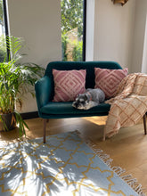Load image into Gallery viewer, blue and gold rug with cushions and dog
